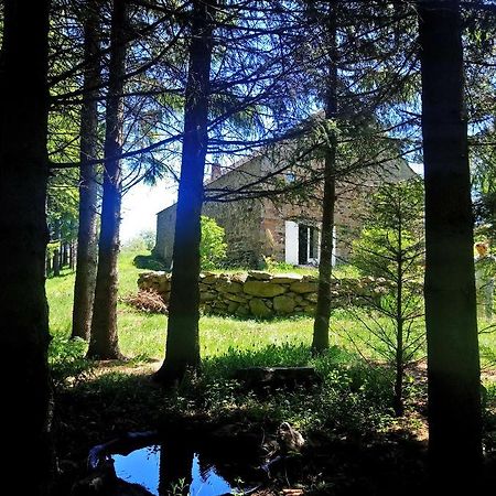 Bed and Breakfast La Ferme Du Crie Chaudeyrolles Exterior foto