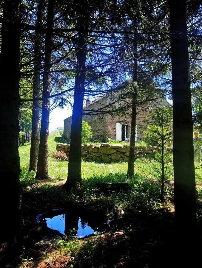 Bed and Breakfast La Ferme Du Crie Chaudeyrolles Exterior foto